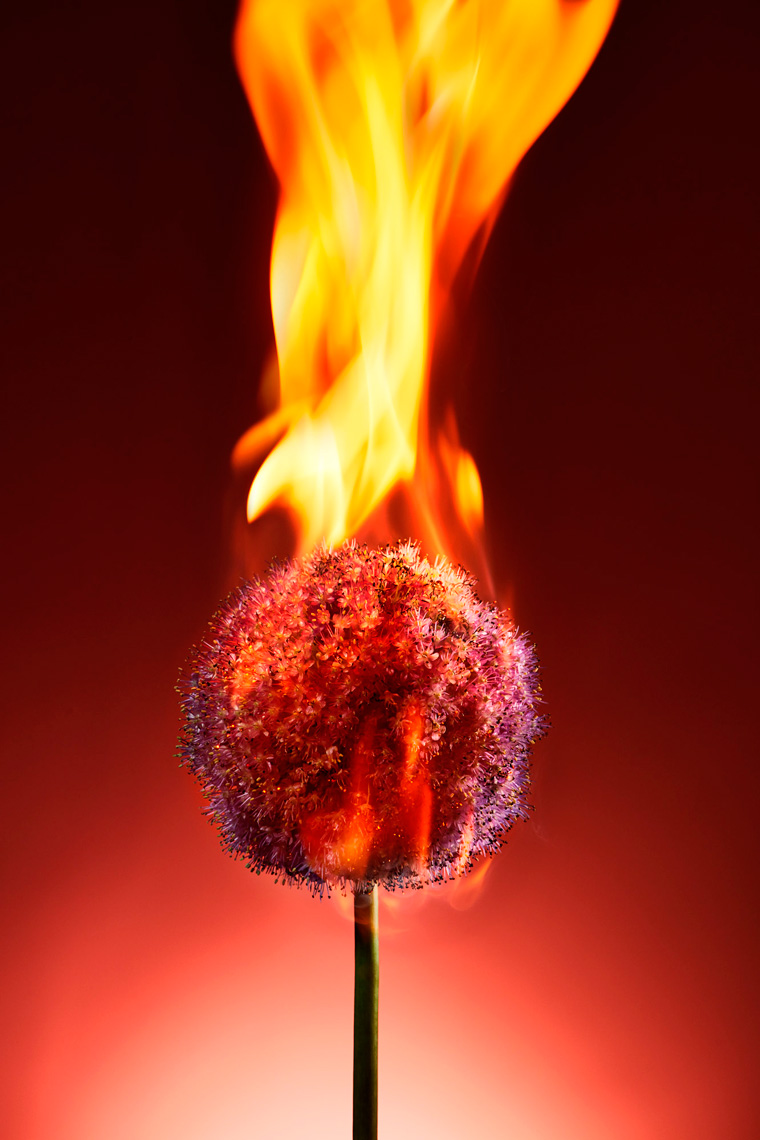 FlameTest-Shot04-1161-Lighter