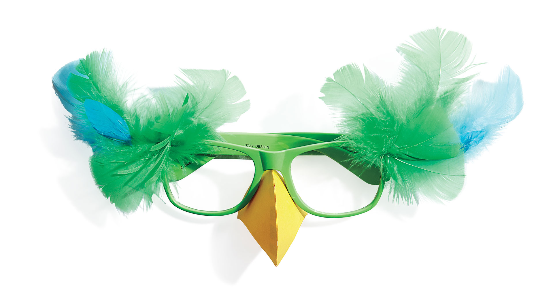 MLD107672parrot_B_03_rgb.jpg